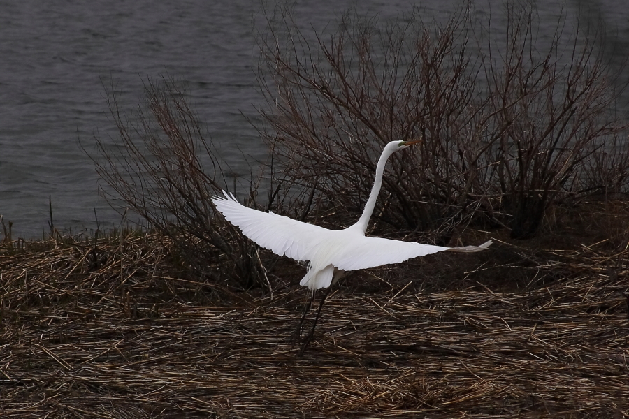 2013 04 16 IMG 03263e